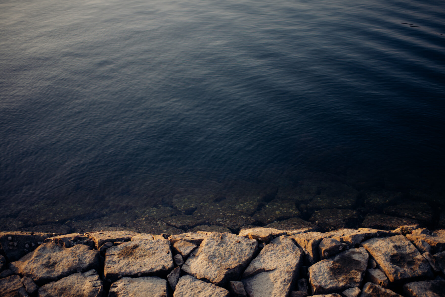 ShopHouse 5の写真